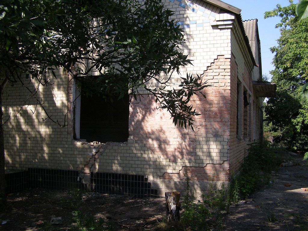 Old Library and Soviet of the settlement building (Старое здание библиотеки и сельсовета)