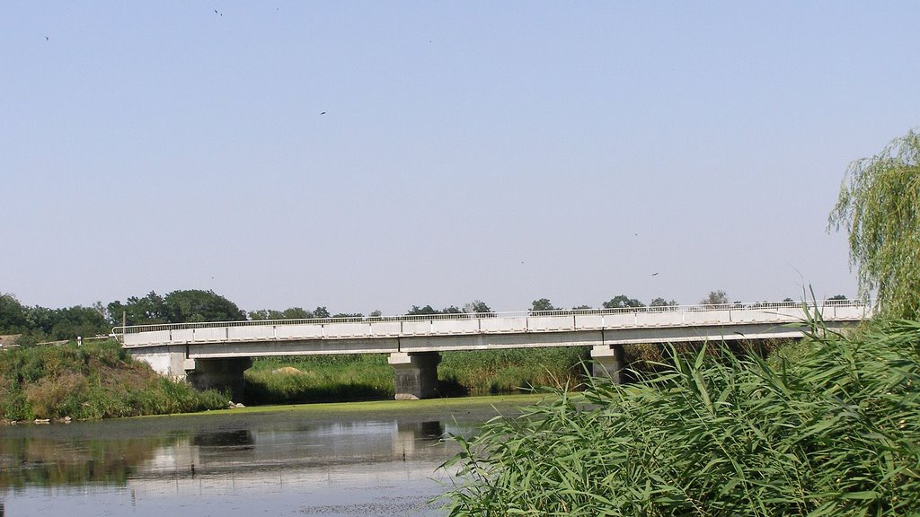 New bridge (Новый мост)