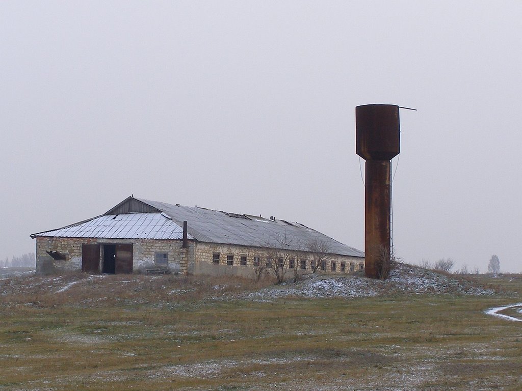 The main piggery (Основной свинарник)