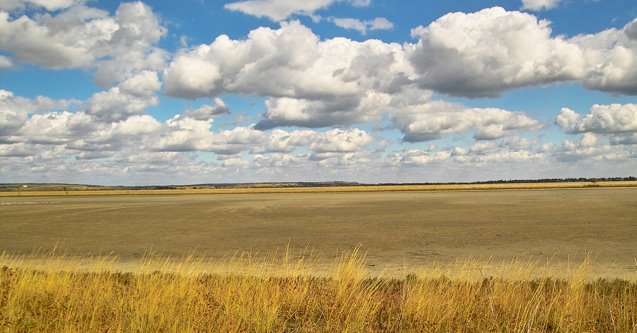 Цвета украинского флага