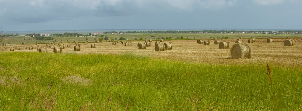 На Белосарайской косе