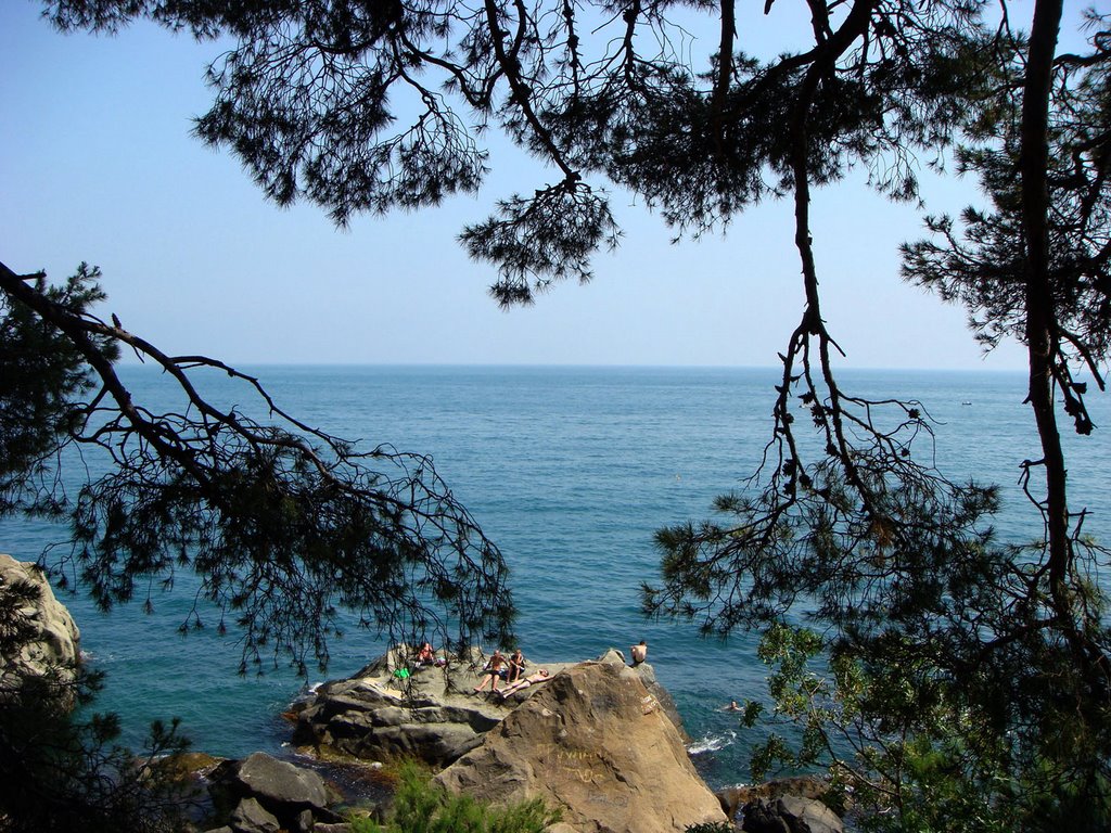 Вид на море из Воронцовского парка