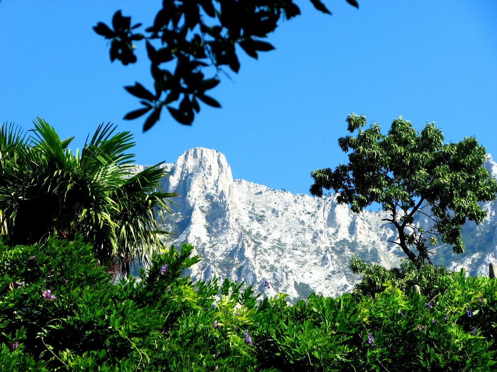 Alupka. Mt. Ai Petri (Mt. St. Peters).