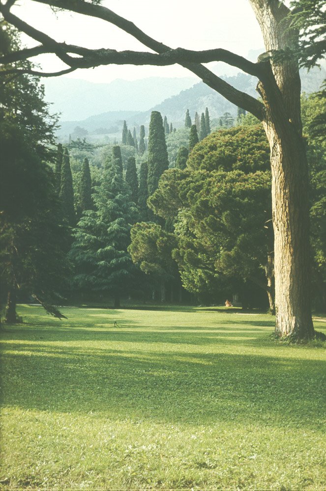 Alupka Park. Landscape. Парк Алупки. Ландшафт.
