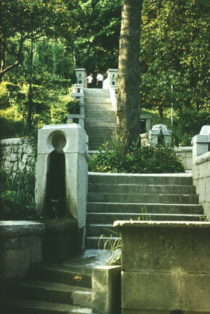 Alupka Park. Stairway. Парк Алупки. Лестница.