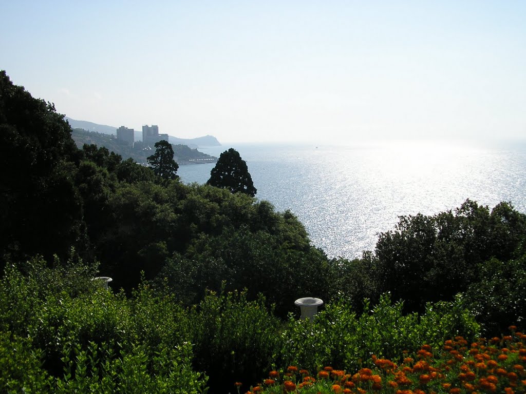 Вид на море с Воронцовского дворца / Sea view from the Vorontsov Palace