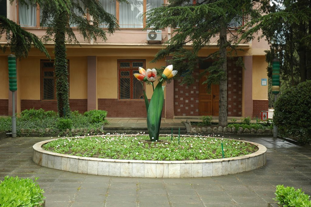 Санаторий Алуштинский после дождя. Sanatorium Alushtinsky after rain.