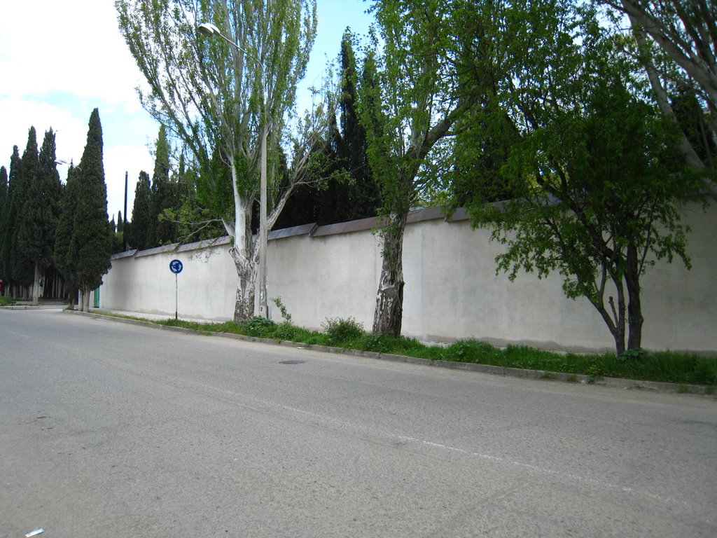 Санаторий "Магнолия" с новой стеной смотрится как тюрьма. The sanatorium "Magnolia" with new wall looks like a prison.