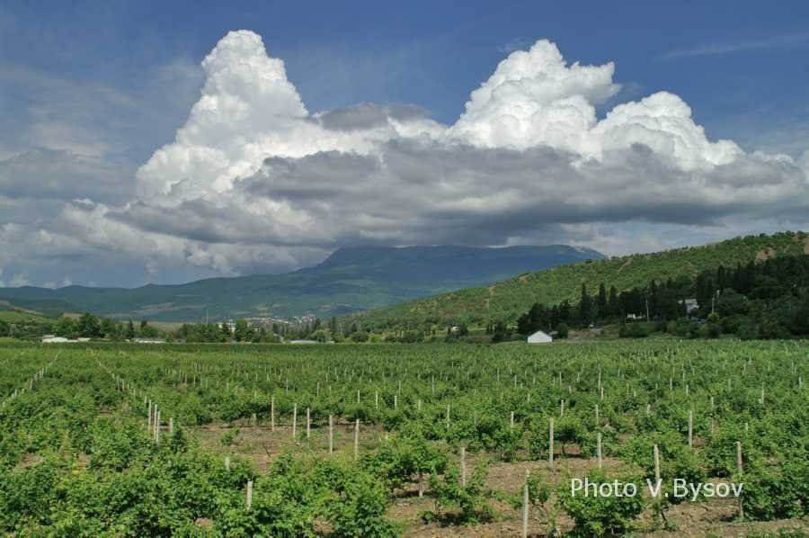 alushta
