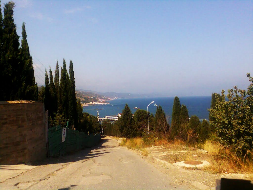 Спуск в Алушту / Road to Alushta