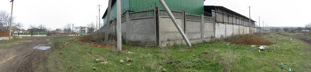 Панорама. Северо-западный угол периметра Багеровского завода марочных коньяков. Вдоль завода раскидан мусор