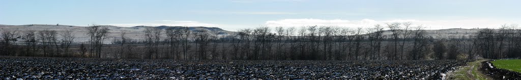 Панорама. Багерово. Вид на юг в сторону Андреевского урочища. Прогулочная дорожка