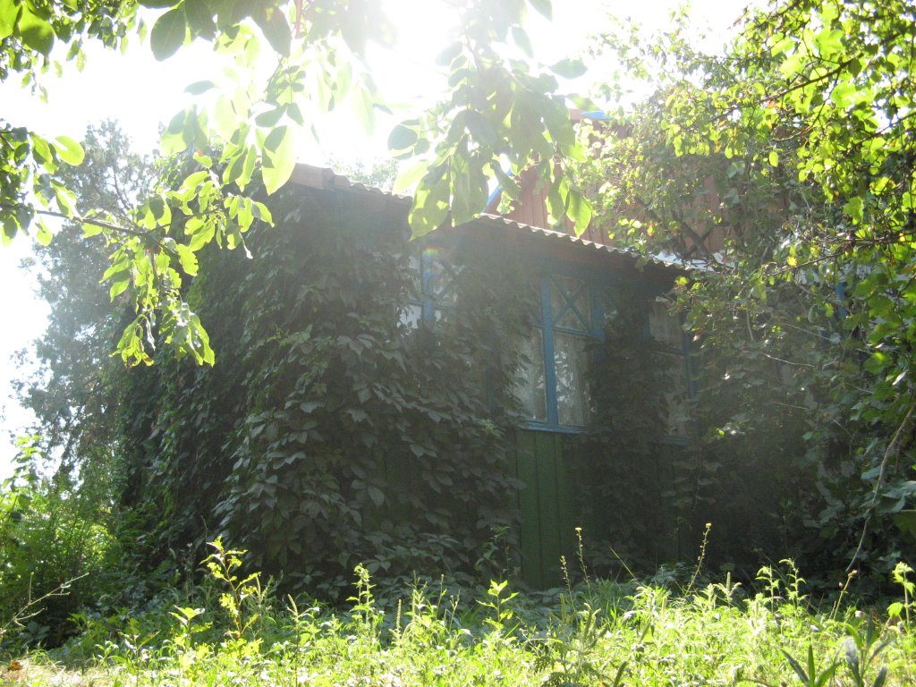 домик)