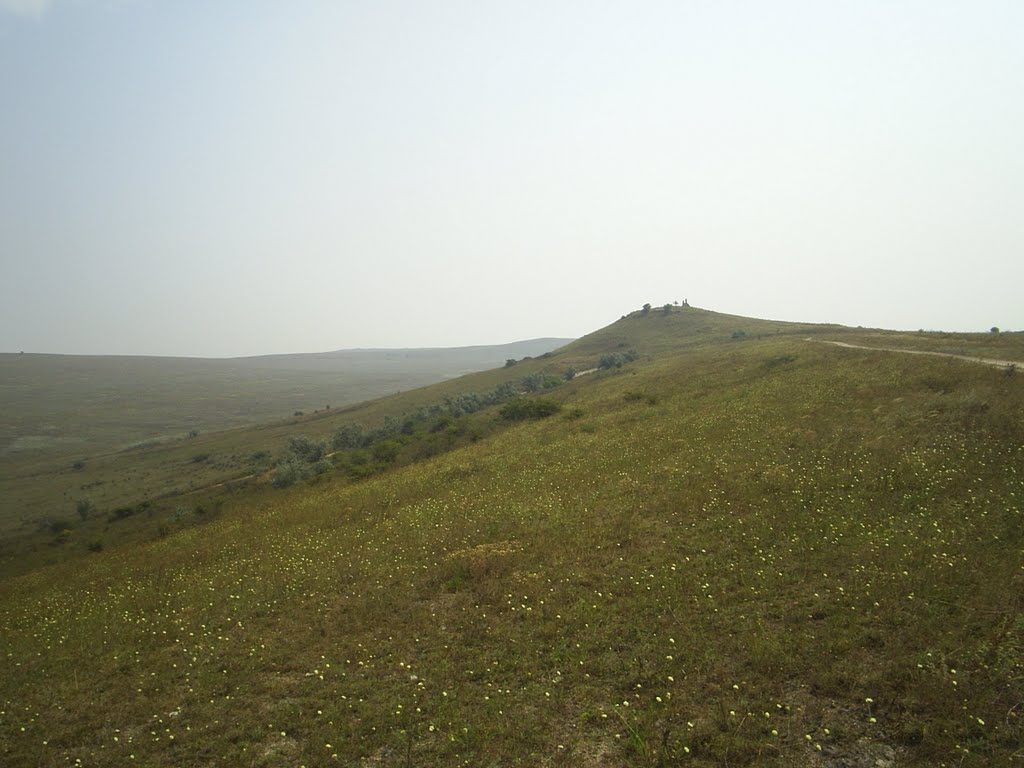 Крым.Вершина вблизи Багерово.