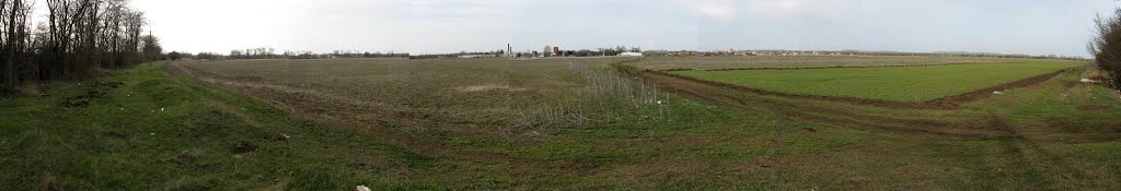 Панорама. Багерово. Зады винзавода.