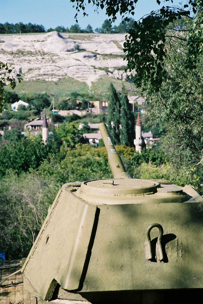 The tank overlooking the palace