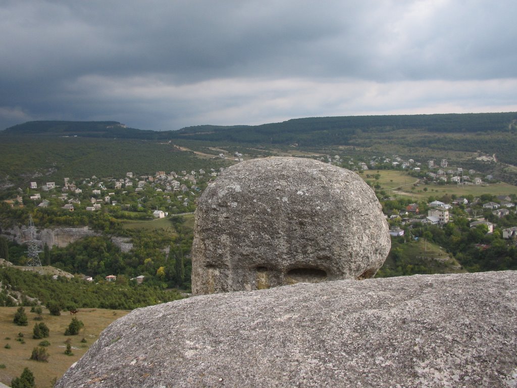 сектор столбы