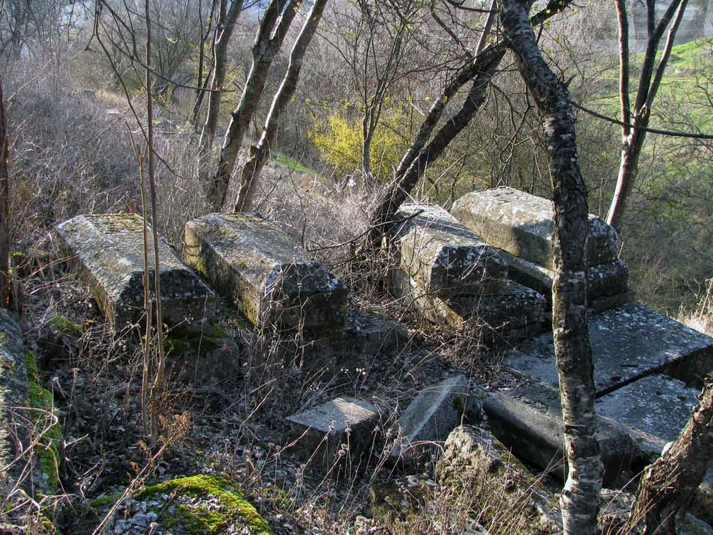 22.03.2009