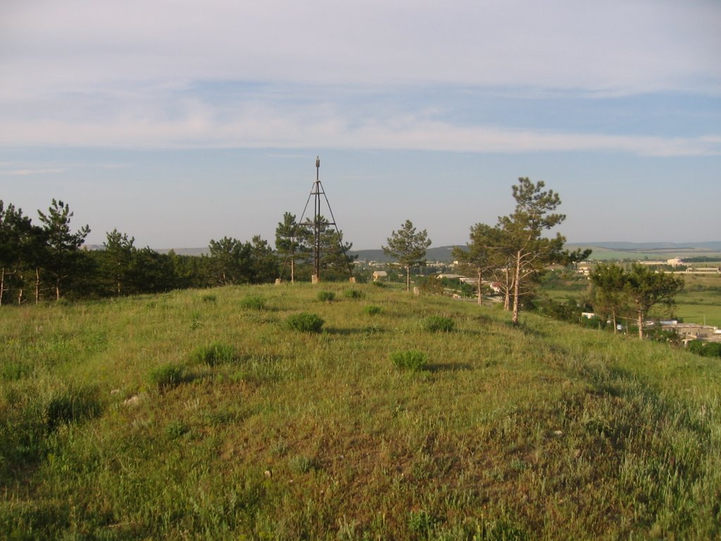 Taygan Landscape