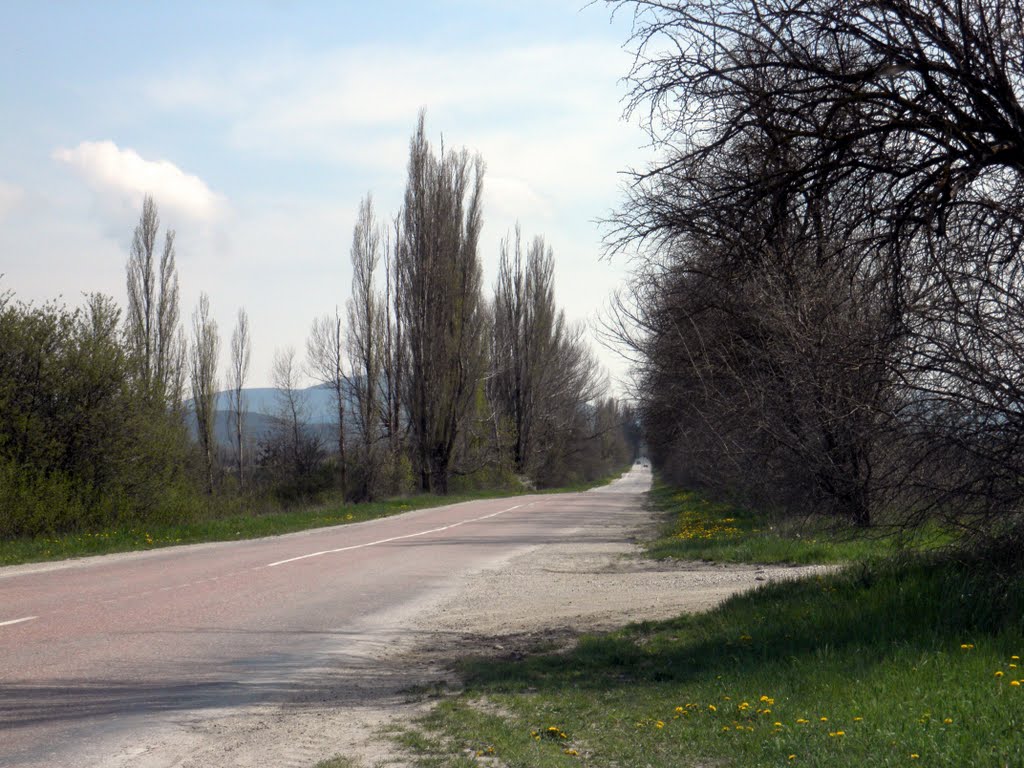 Дорога Белогорск-Криничное