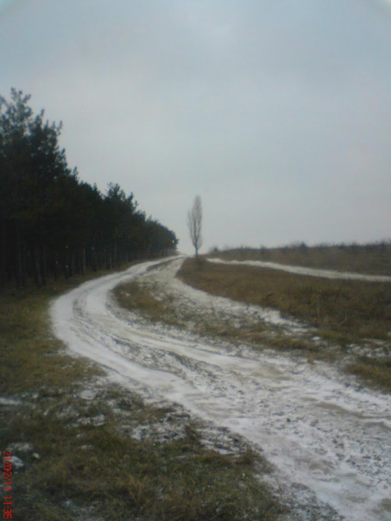 дорога на Тайган