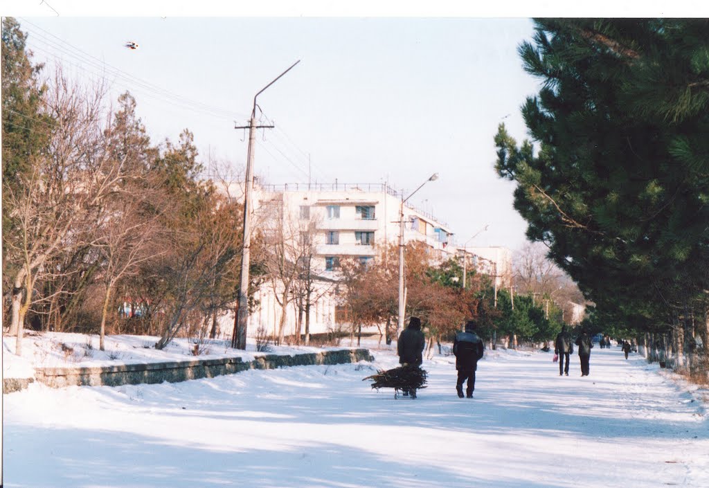центральная улица зимой 2006