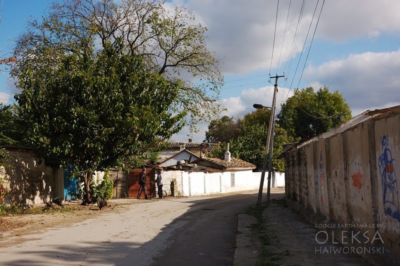 Street in Qarasubazar (Bilohirsk)