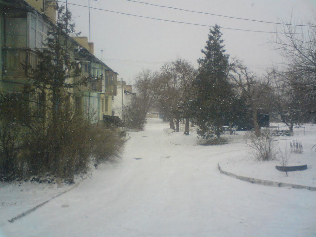 тихо падал снег...