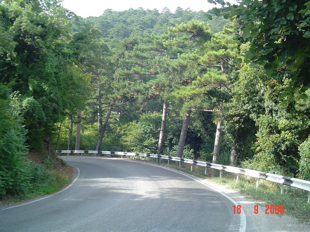 Гаспра