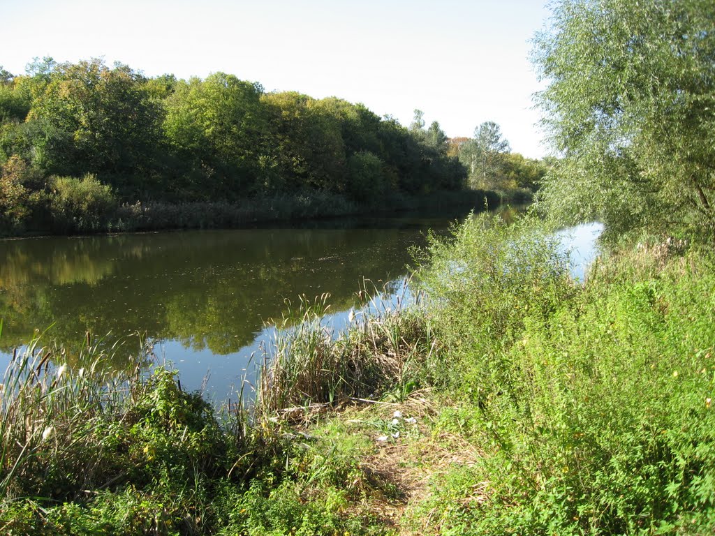 Самара