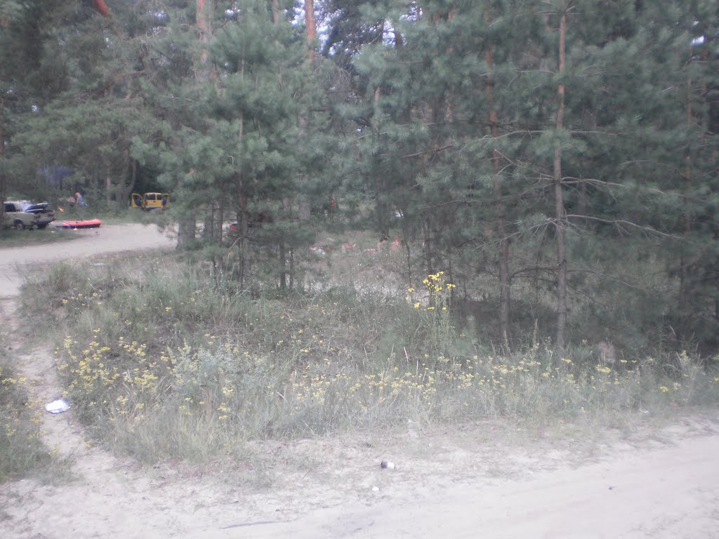 Вододром