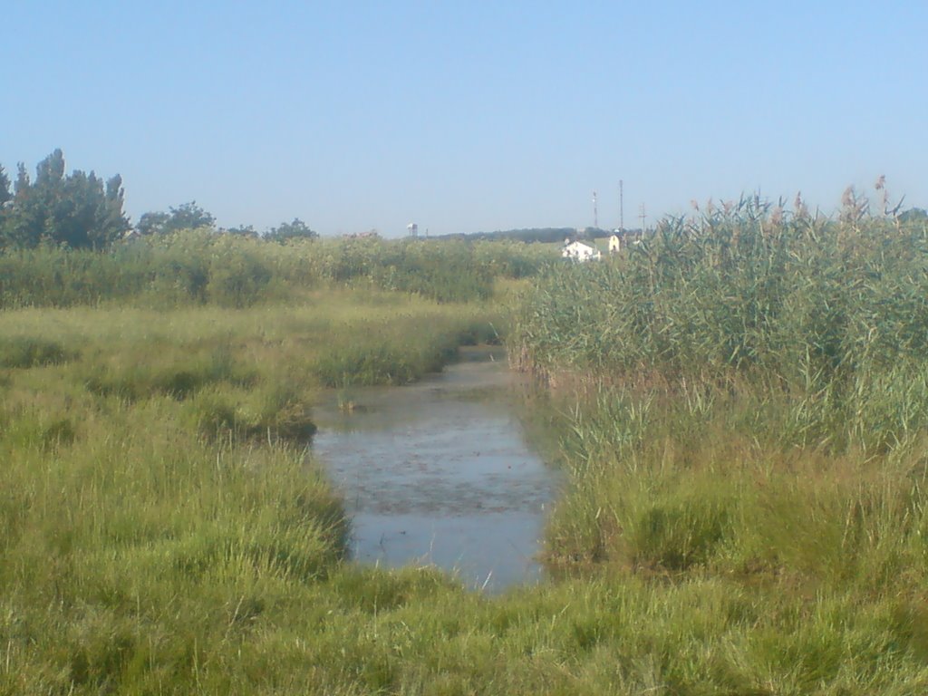 река