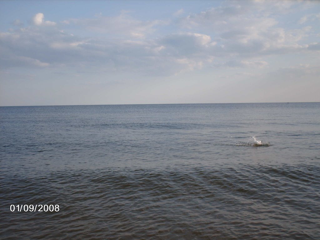 Урзуф 2008