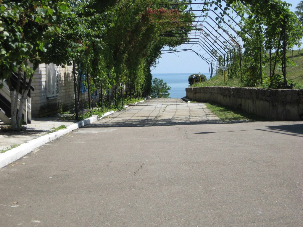 Аллея к морю