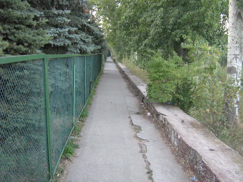 Урзуф 2009 дорога к морю.