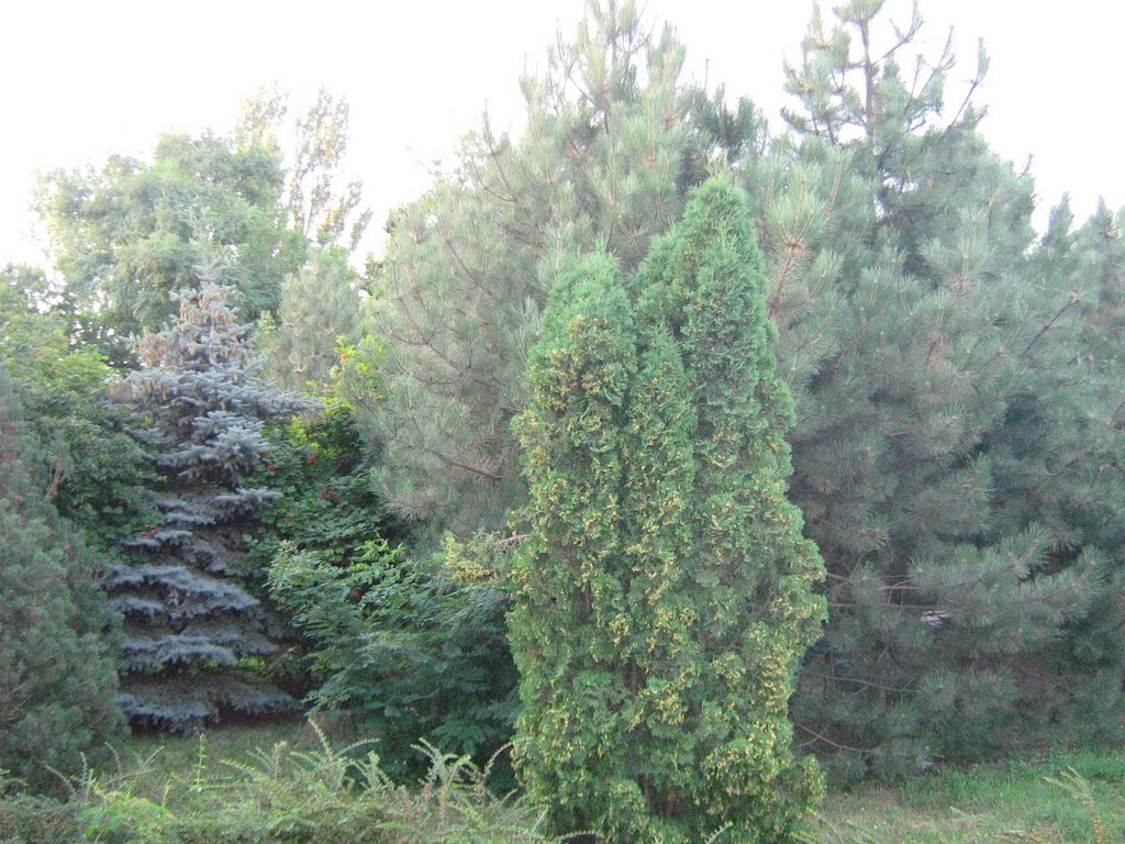 небольшой оазис ,среди обыденной природы
