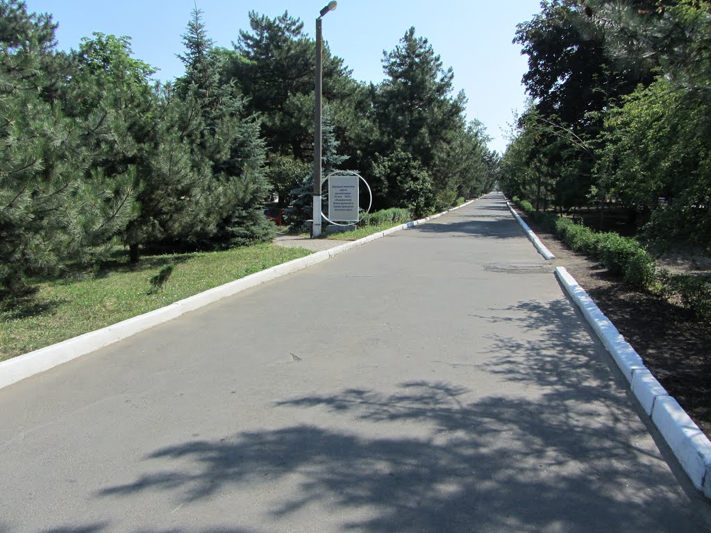 Центральная аллея