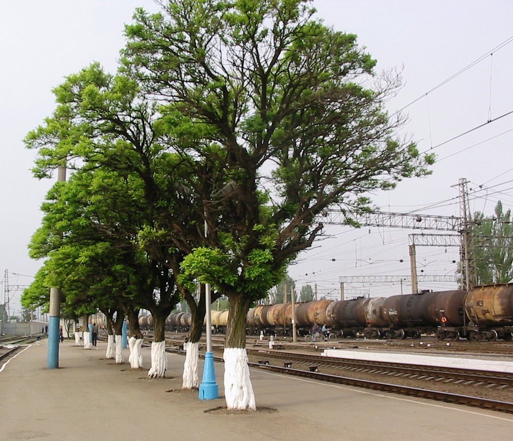 Dzhankoi station #1
