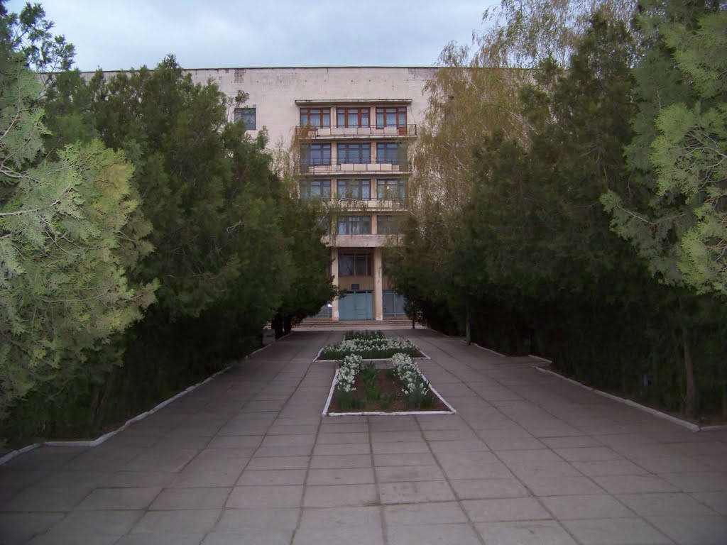 Центральная Районная Больница