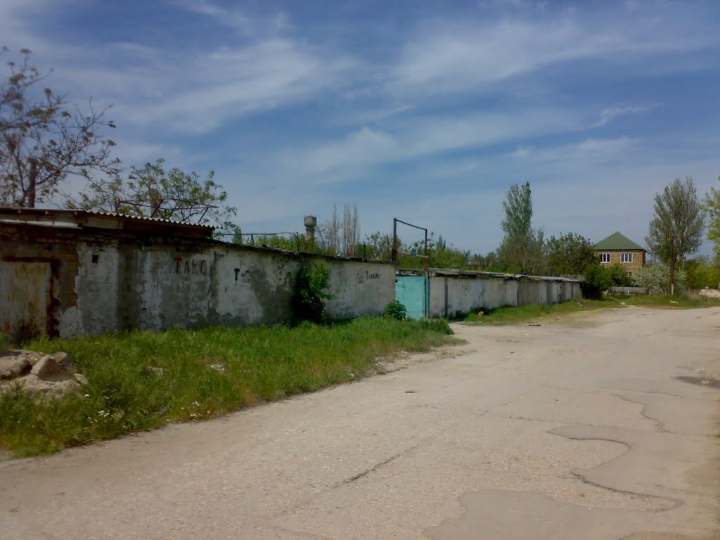 ГСК  "Дружба" или "Синька"