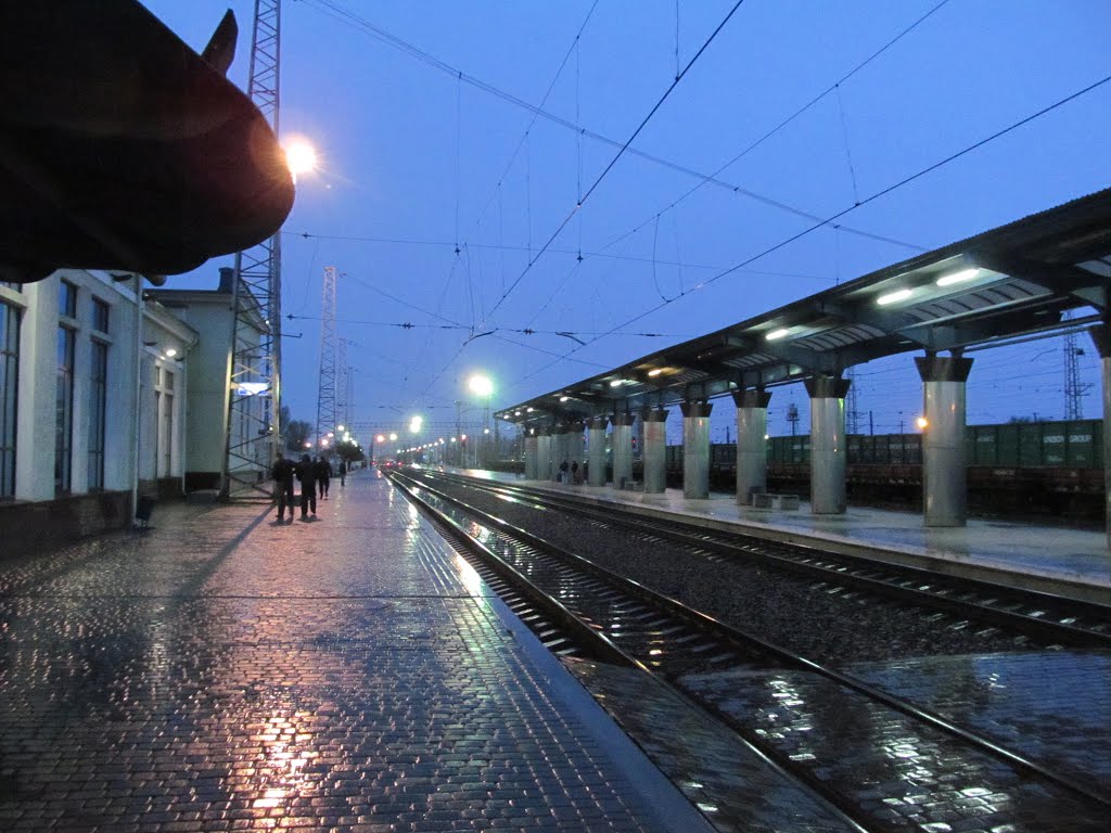 дощ на платформі * rain at the station