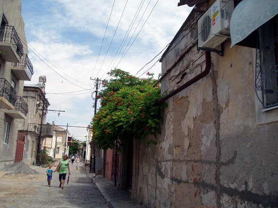 Evpatoria