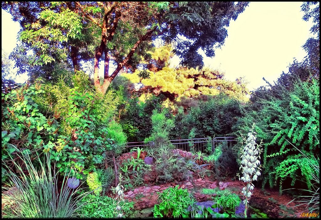 Botanic Garden in Evpatoria.