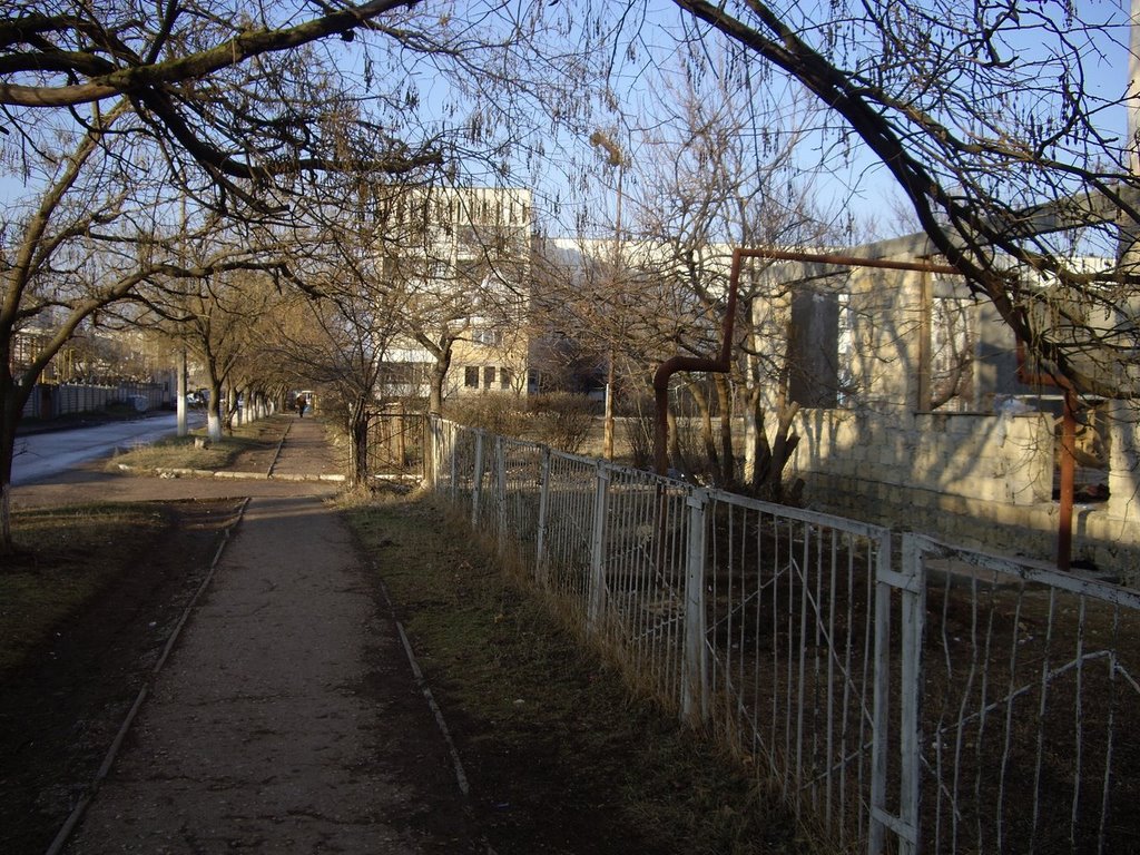 Утро.