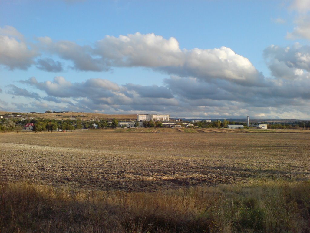 Поле, осень 1