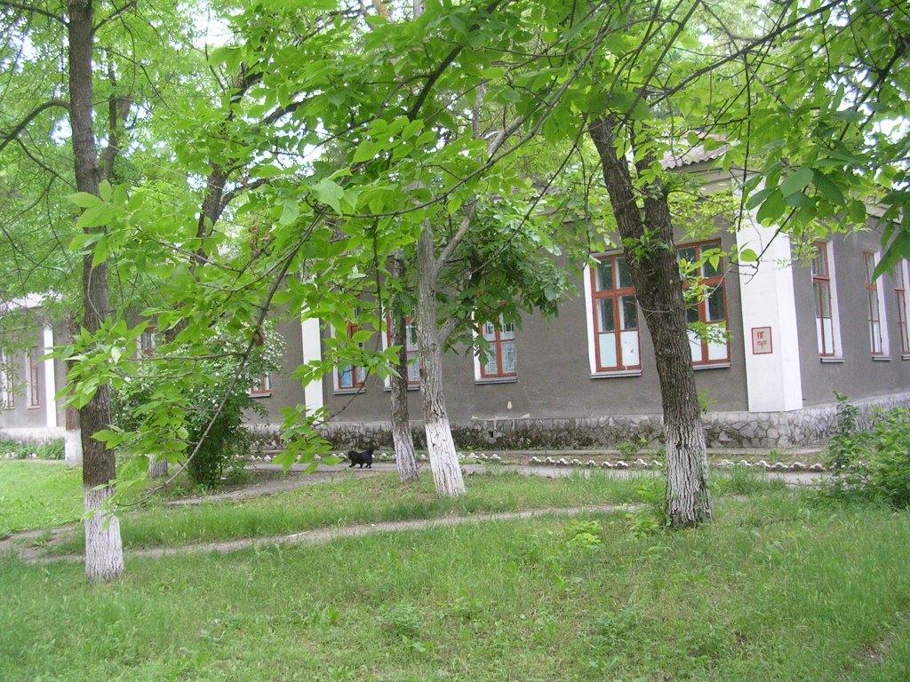 Больница