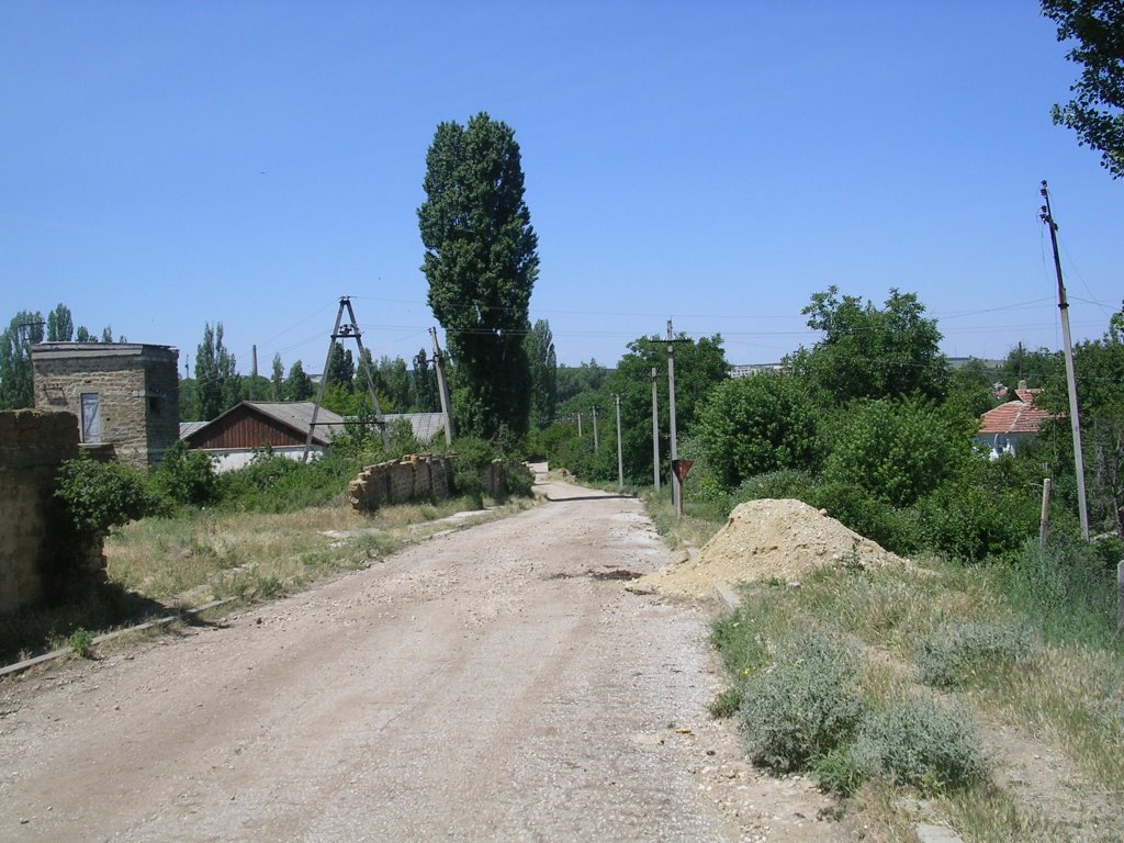 Виноградная улица