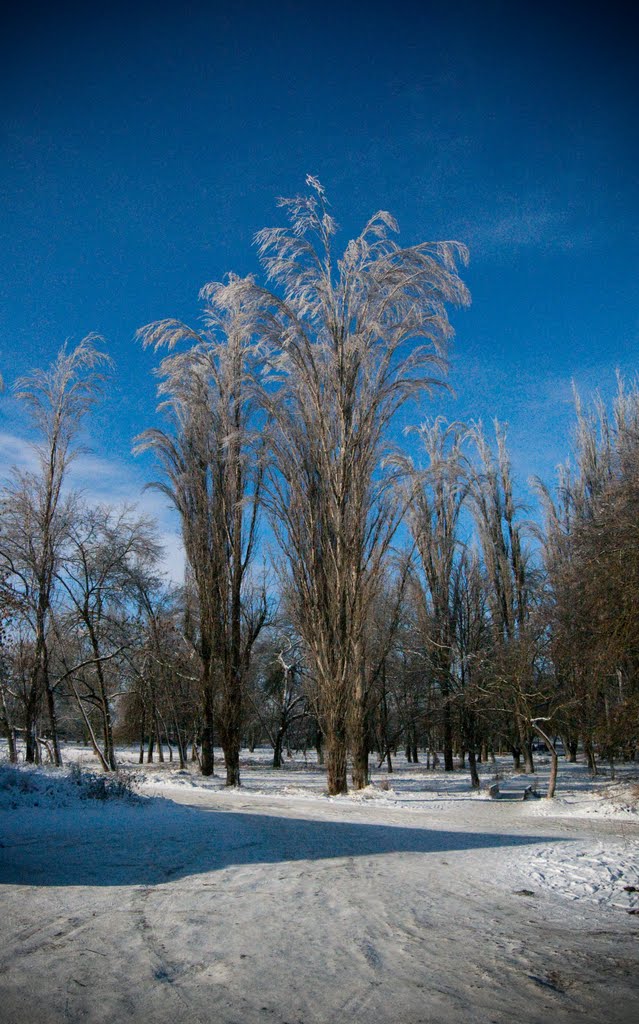 сказочная зима  the fairytale winter