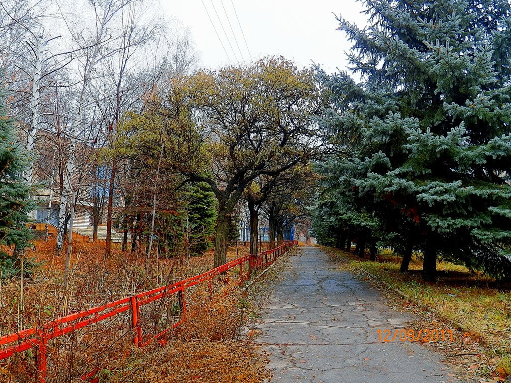 По тротуару вдоль училища