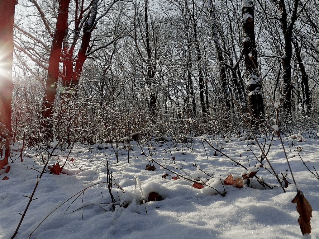 Снег